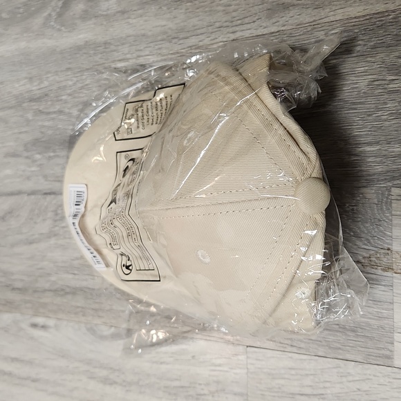 Brand new! Daily Reminder Dad Cap hat beige - Picture 2 of 3